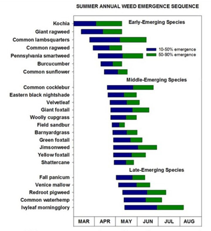 chart of summer annual weed emergence times