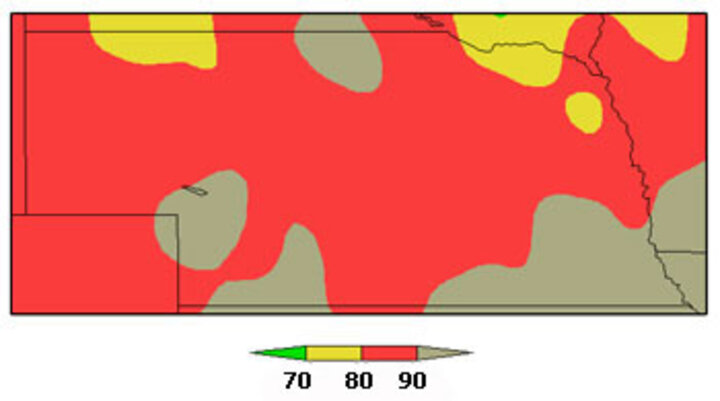 Map of potential flea beetle damage