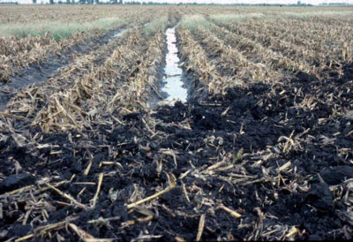 Tillage in a wet field