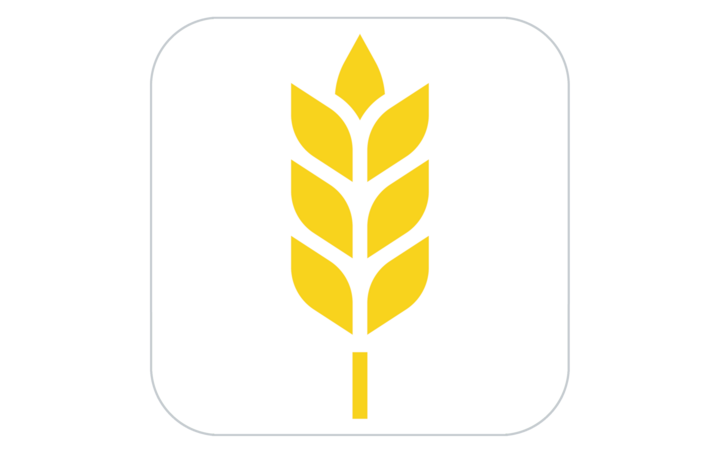 Yellow wheat stalk icon on a white square background.