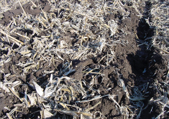 a tilled field