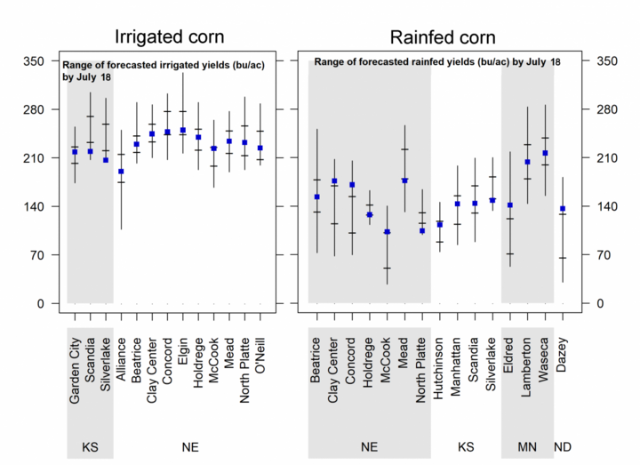 Graph showing range of forecasted yields for both irrigated and rainfed corn sites.
