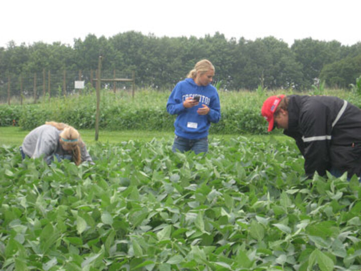 2014 Youth Crop Scouting Contest