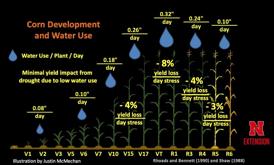 corn development water use