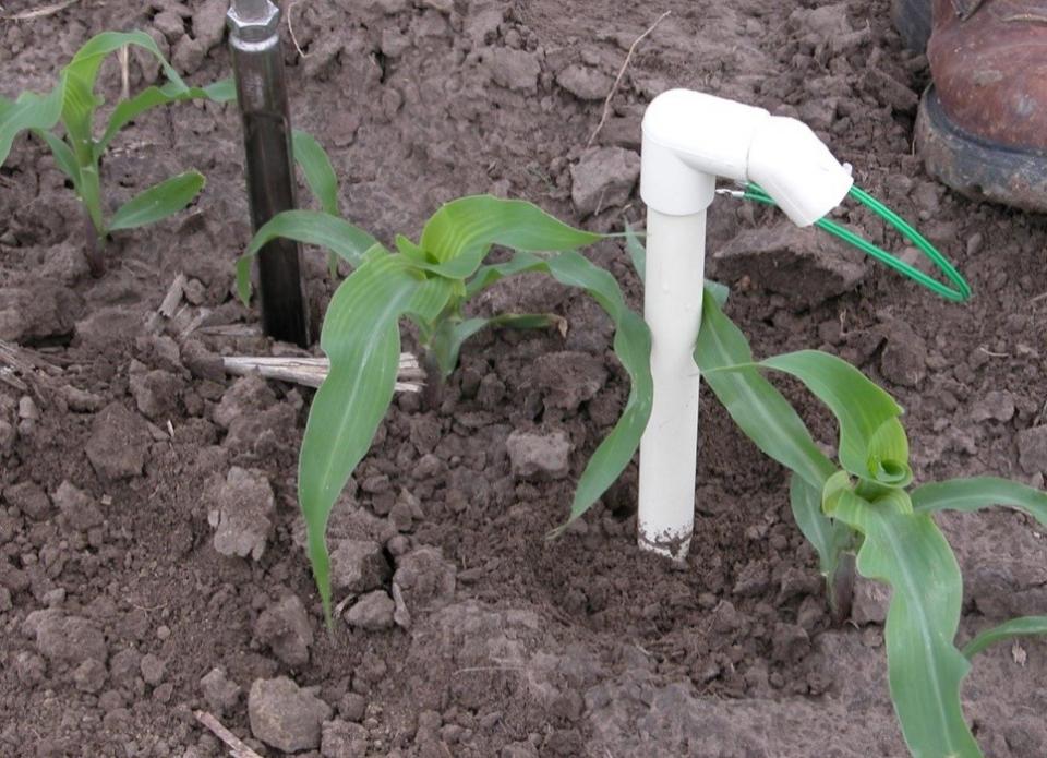 Watermark sensor installed in corn