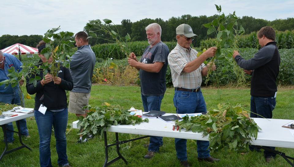 Participants at the 2016 Soybean Clinic examining plant injury at various crop growth stages.