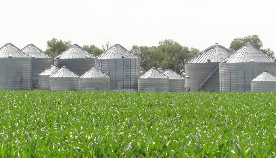 Farm grain bins