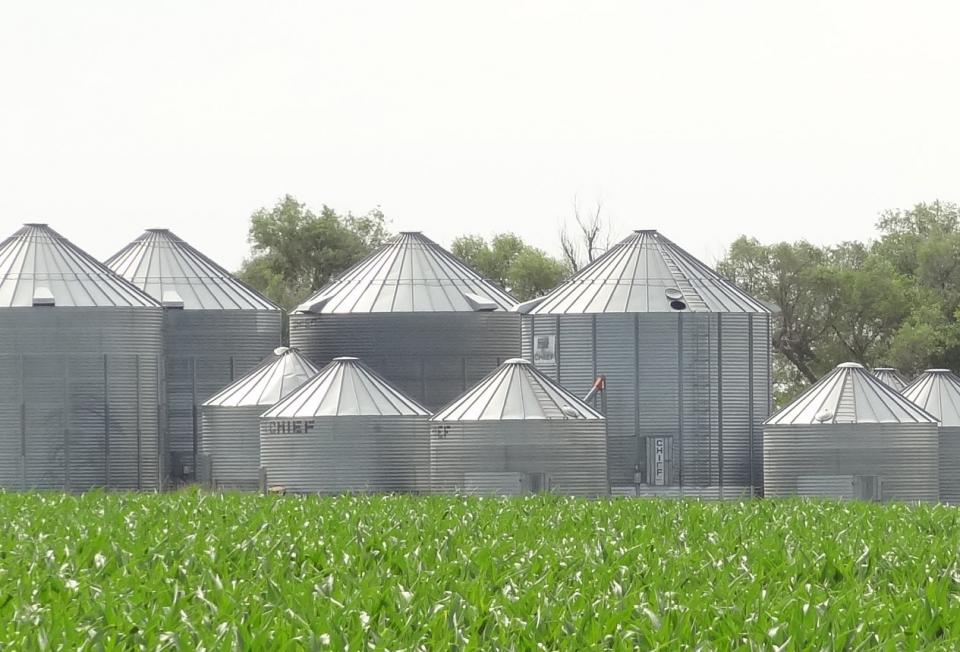 Figure 1. Maintaining grain quality during extended storage requires extra care and management.