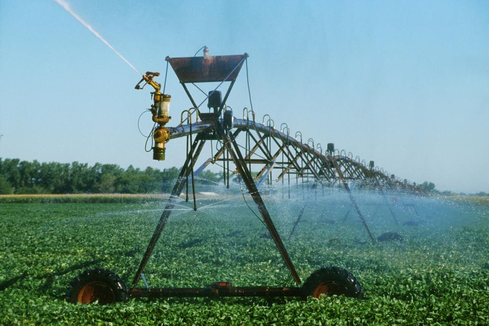 Center pivot irrigated soybeans