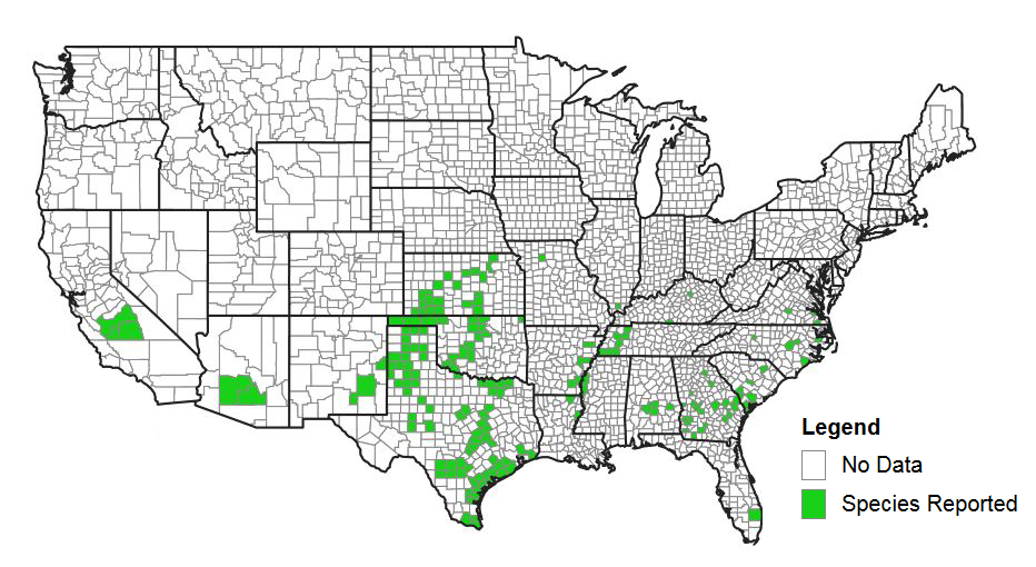 Figure 1. Counties with confirmed sugarcane aphids. Sorghum growers in southeast Nebraska are encouraged to scout for this pest.
