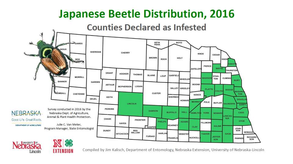 Map of Japanese beetle distribution in Nebraska in 2016