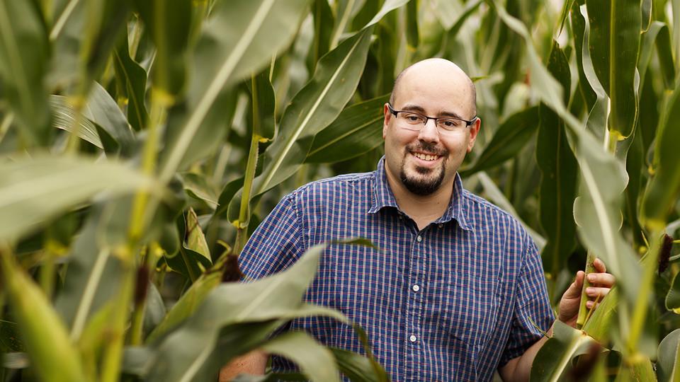 By measuring the water use of plants on an hourly or even minute-by-minute basis, Nebraska's James Schnable and colleagues hope to better understand and eventually improve how crops respond to drought. (Craig Chandler/University Communication)