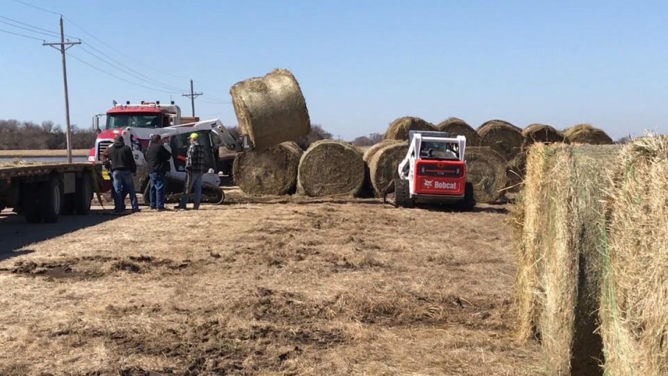 Donated hay bales accumulate at the Eastern Nebraska Research and Extension Center near Mead. (Photo by Deloris Pittman - Nebraska Extension)