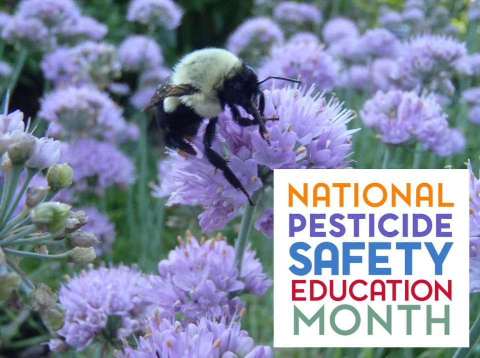National Pesticide Safety Education Month