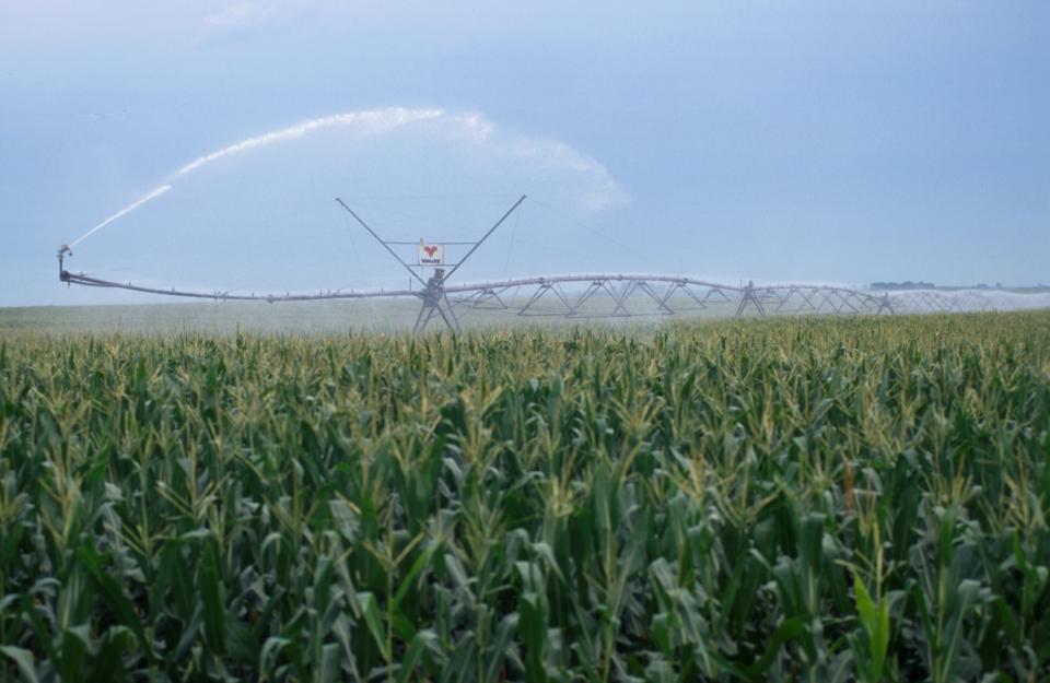 pivot irrigation system operating in a corn field