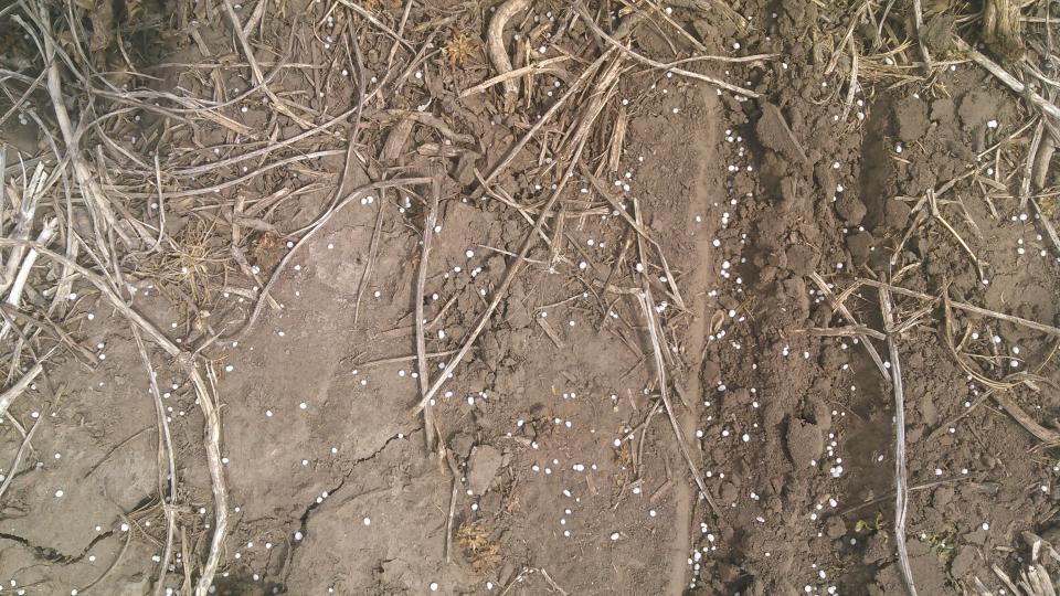 Soil in field