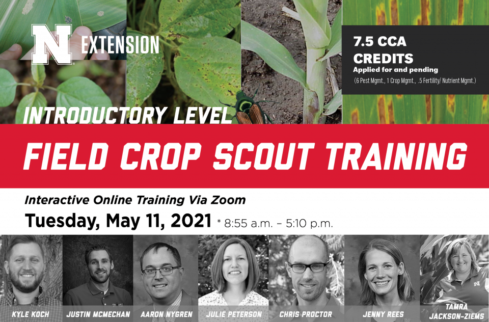 Field Crop Scout Training poster