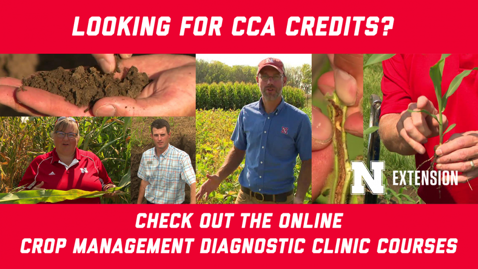 Looking for CAA Credits? Check out the online crop management diagnostic clinic courses