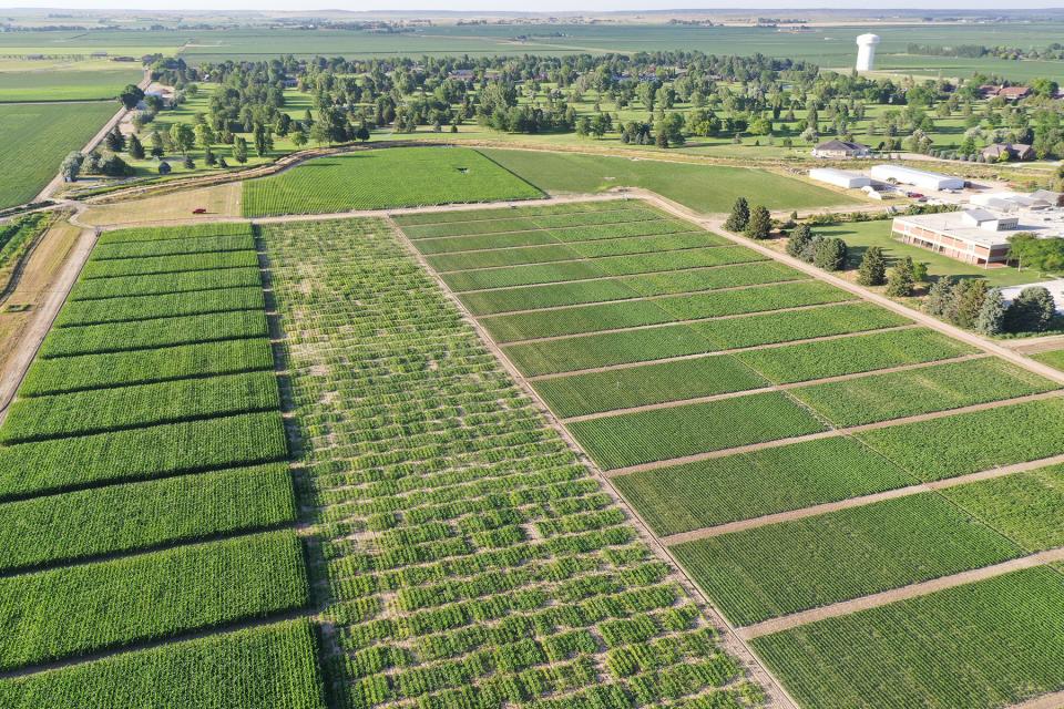 Aerial view of research plots