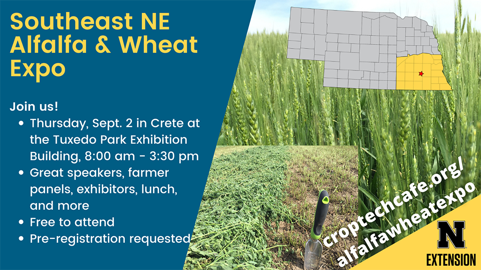 Alfalfa and Wheat Expo banner