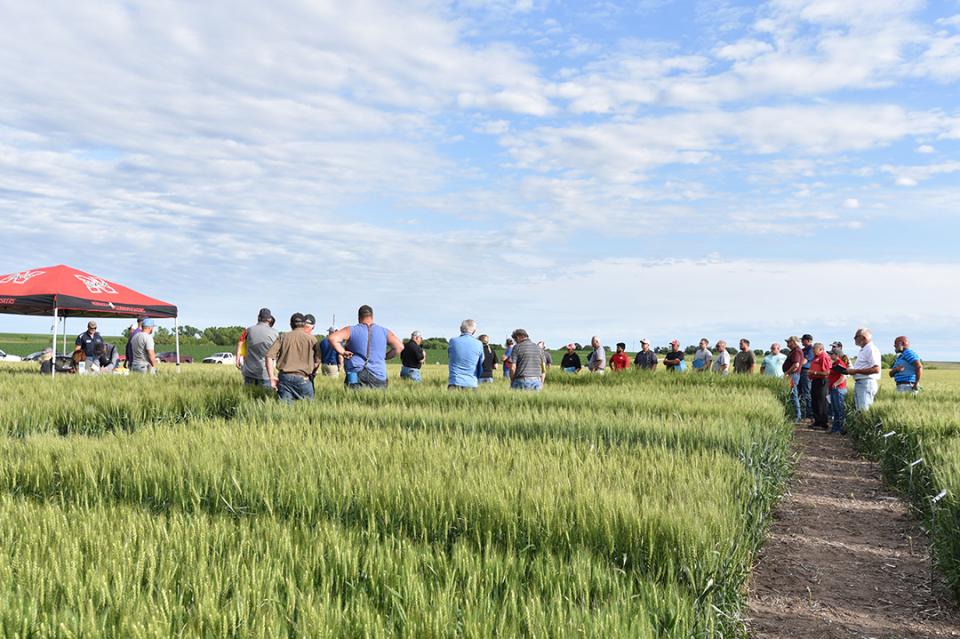 Wheat field day attendees