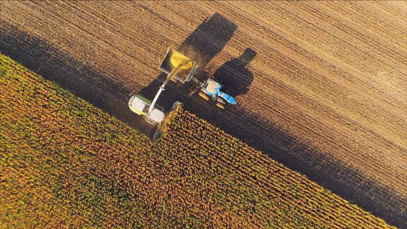 Aerial corn harvest
