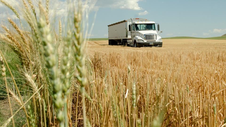 Grain truck in field