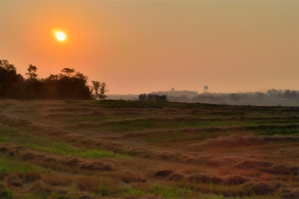 Heat wave sunrise on wheat farm