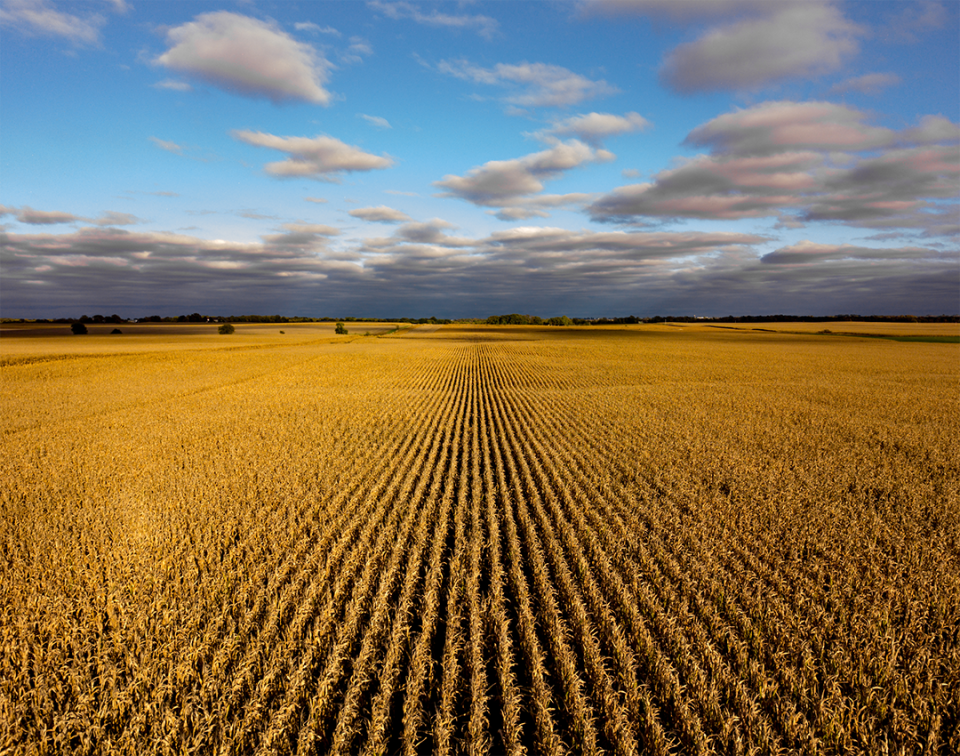 Aerial view of Nebraska corn field