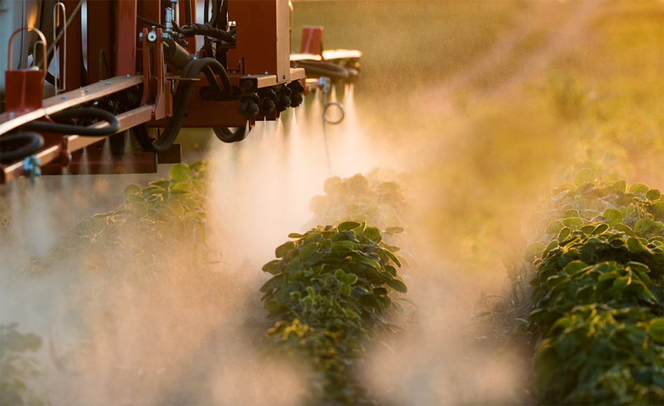 Soybean pesticides