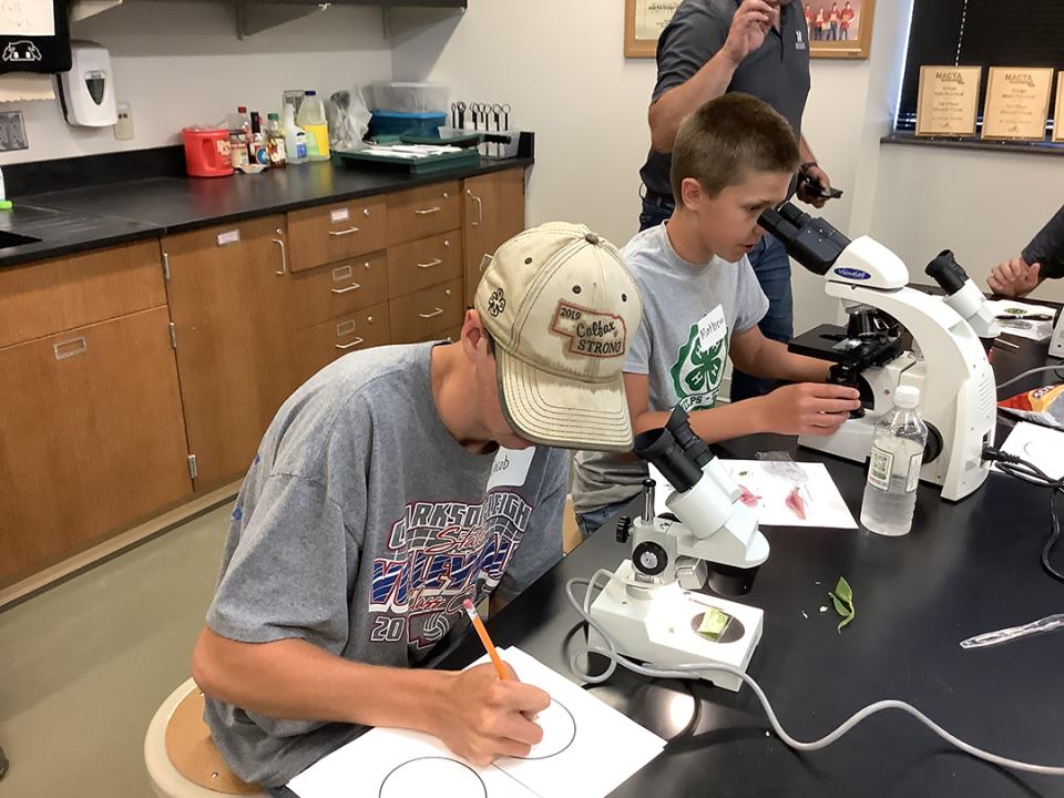 Young boys look into microscopes on lab table