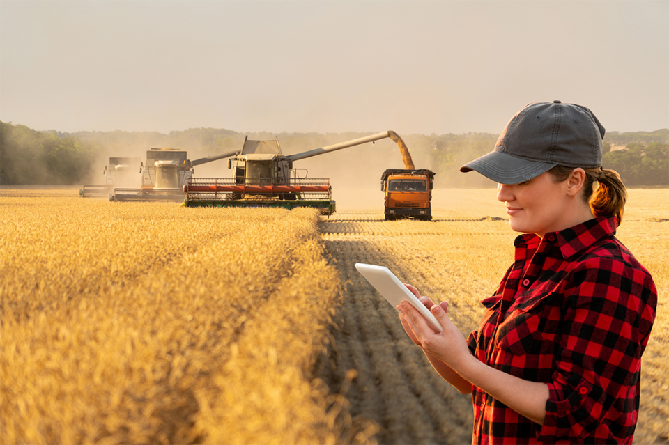 Farmer holds tablet in field during harvest