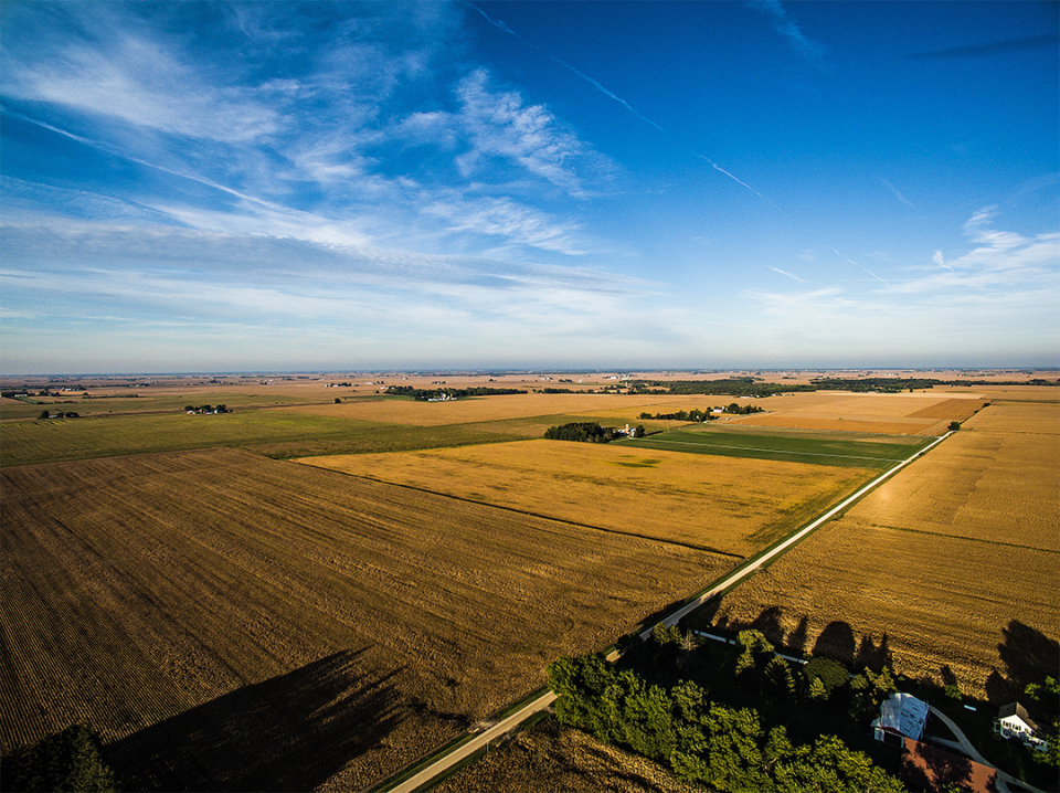 Aerial view of farmland