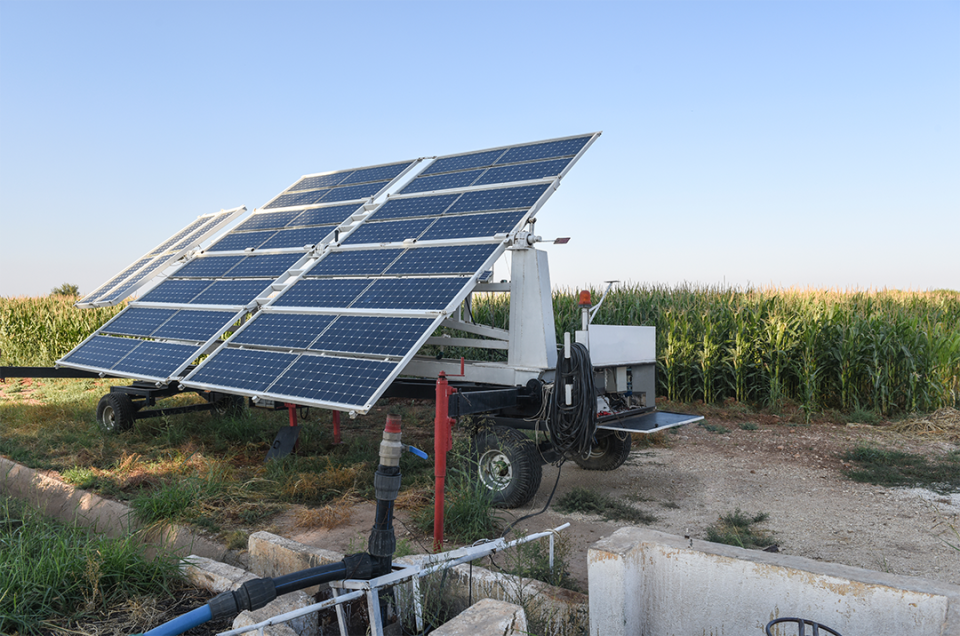 Solar panels in front of corn field