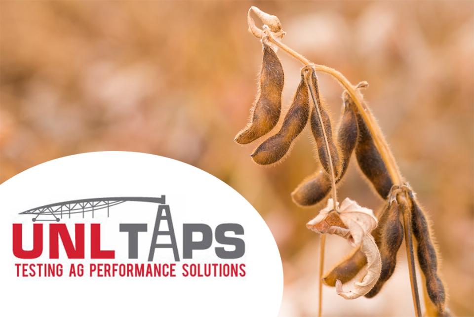 TAPS soybean logo banner