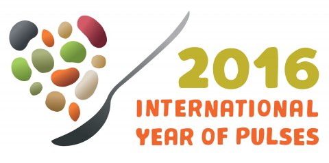 Logo showcasing 2016 International Year of the Pulse