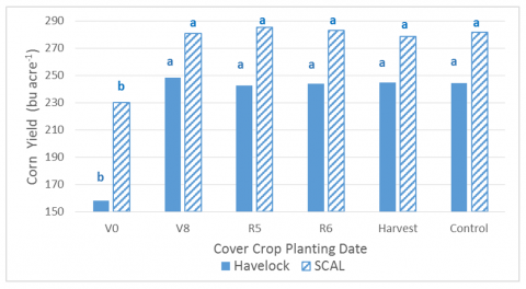 Graph showing cover crop effect on corn yield based on planting date