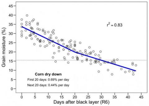 Chart of ISU research on rate of corn dry down