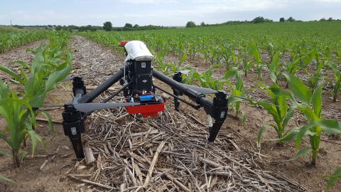 Figure 1. Data collected by the multispectral sensor on this drone will be used to direct in-season nitrogen fertilizer applications, part of a producer research project funded by the North Central Region Sustainable Agriculture Research and Education program. (Photos by Laura Thompson)