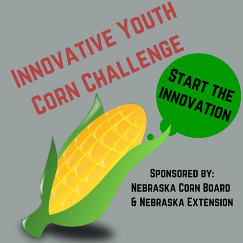 Innovative Youth Corn Challenge