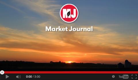 Market Journal