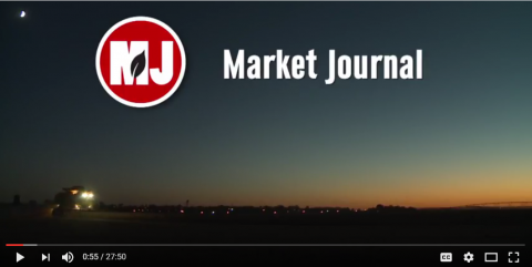Market Journal screen shot