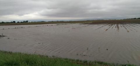 Flooded field in south central Nebraska