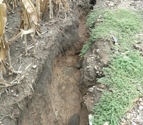 Soil erosion following heavy rains