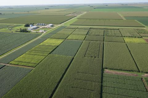 Each year more than 100 research trials are conducted at the South Central Agriculture Laboratory near Harvard. The Aug. 29 SCAL Field Day invites the public to view and learn about the most recent research from UNL and USDA scientists.