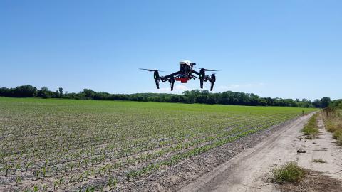 Drone flight over corn