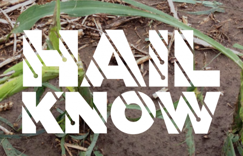 The Hail Know website offers timely information to help farmers respond when hail strikes their crops.