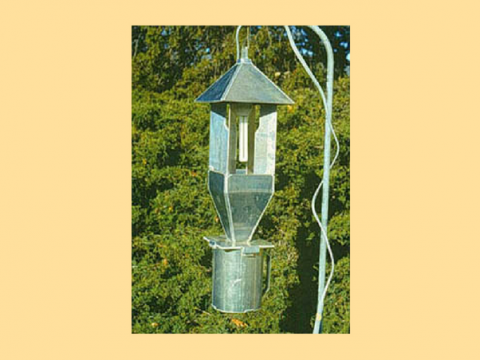 Insect light trap