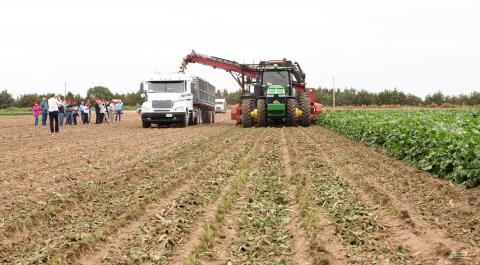 Figure 1. Representatives of the USDA Foreign Agricultural Service view sugarbeet harvest in the Nebraska Panhandle near Morrill. (Photo by Gary Stone)