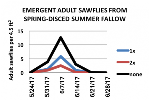 Chart looking at adult sawflies from spring-disced summer fallow
